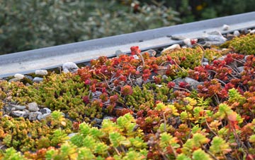 the cost of Goose Hill green roof installation