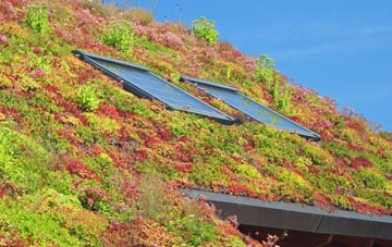 Goose Hill living roof systems
